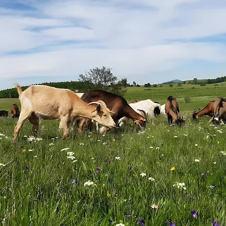 A La Ferme- A La Nuitee Mazan-l'Abbaye